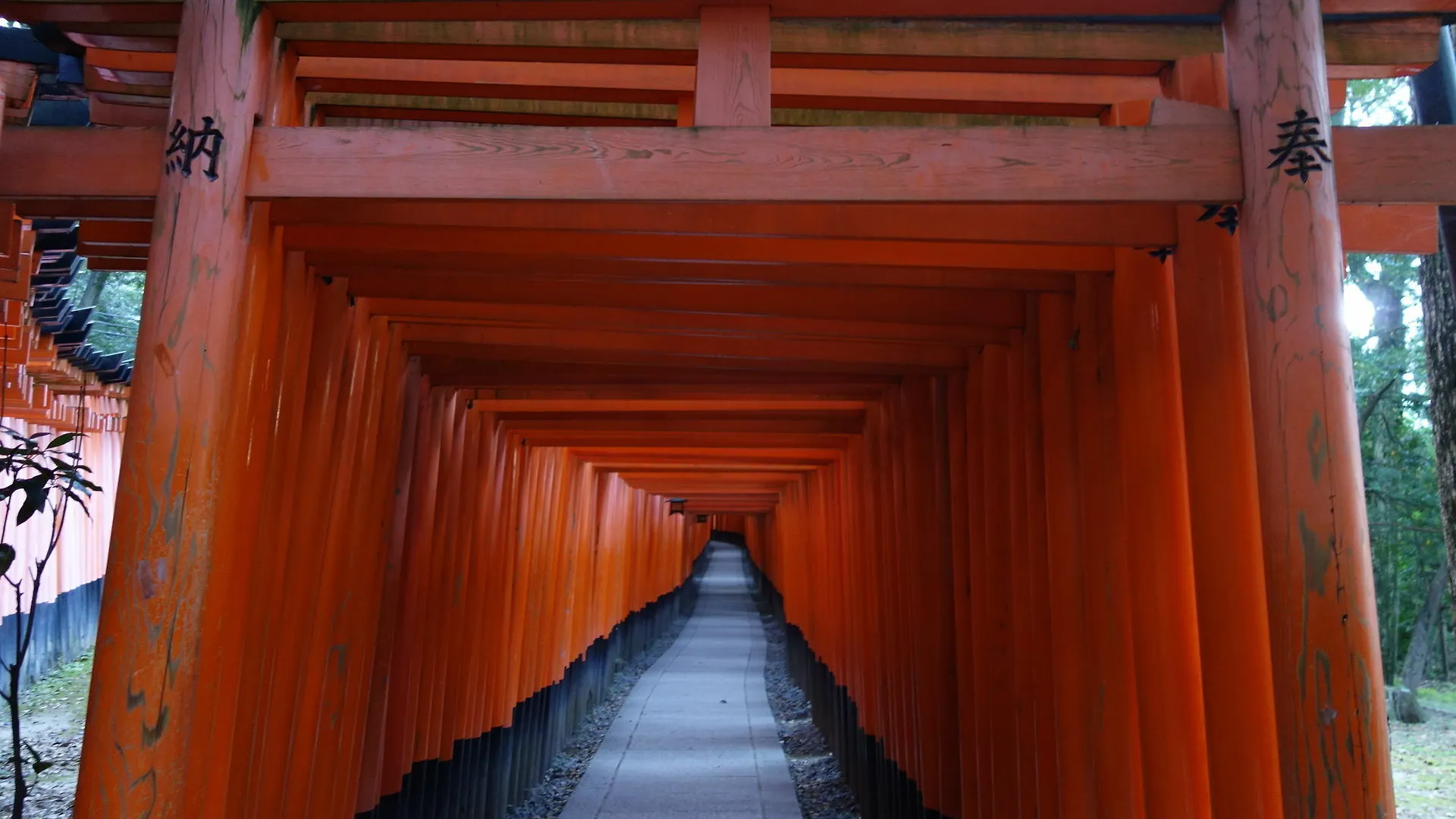 Kyo-Machiya Stay Waka Fushimiinari Kyoto Holiday home