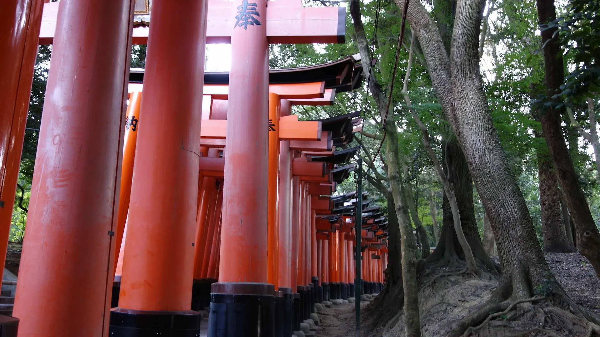 Kyo-Machiya Stay Waka Fushimiinari Kyoto Holiday home